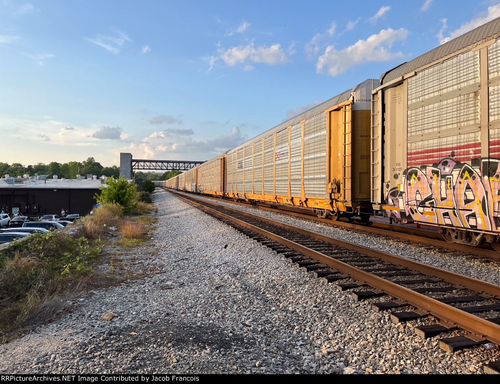 TTGX 709344